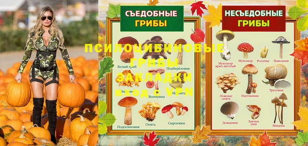 герыч Арсеньев